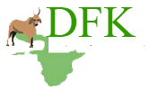 association dfk